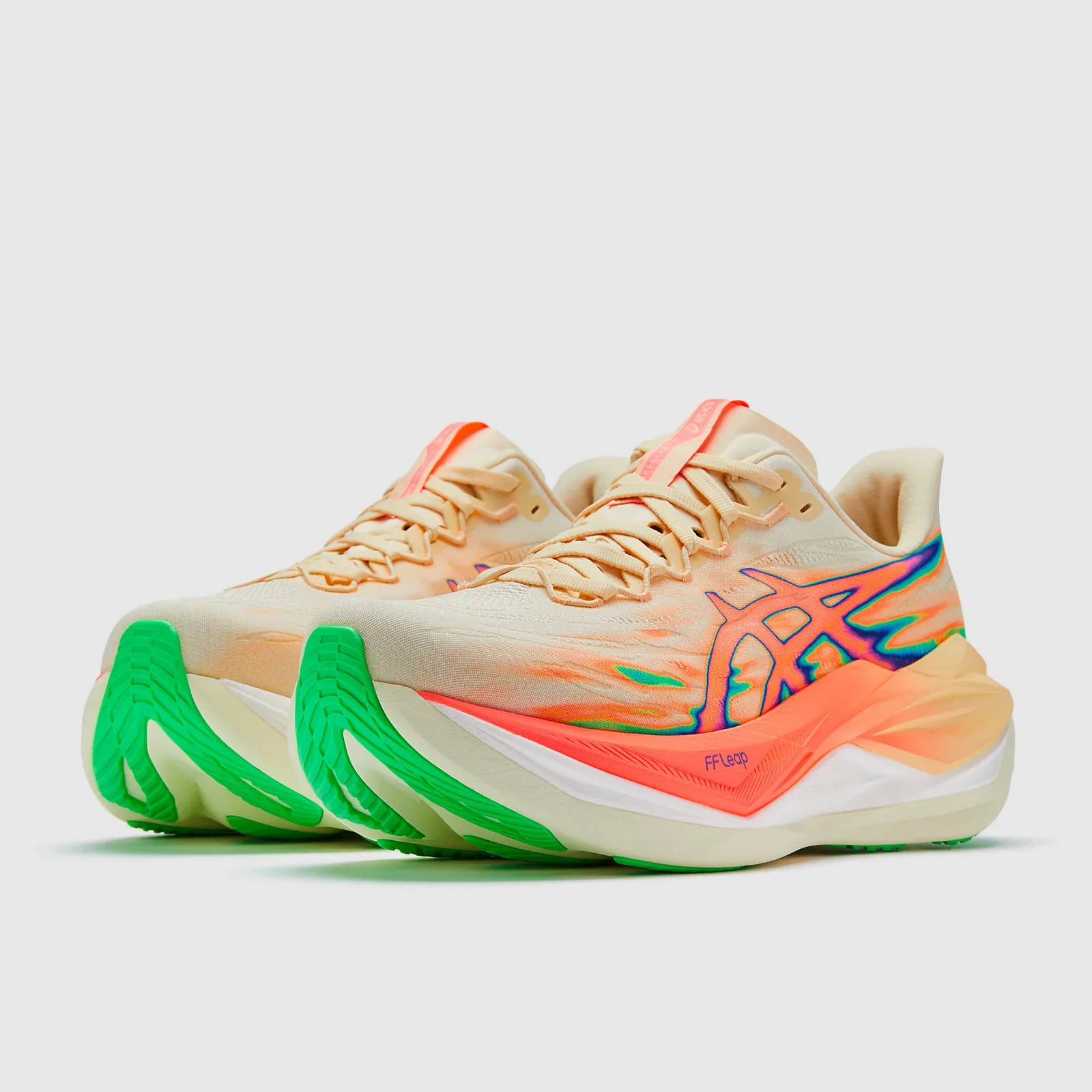 Seashell Sun Coral